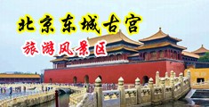 操哭美女视频车上大鸡巴进去逼中国北京-东城古宫旅游风景区